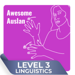 Level 3 (Aspects of Auslan - Linguistics)