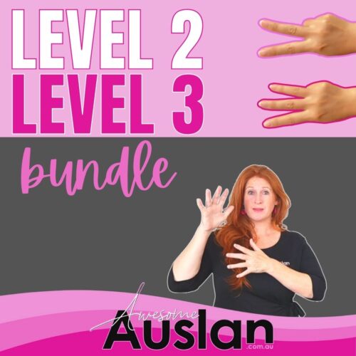 Level 2 & Level 3 (Advanced Courses Bundle)